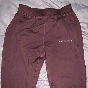 Alphalete Premium Joggers - Blackberry
